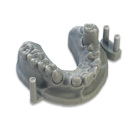 Alias ​​Dental Model
