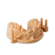 Alias ​​Dental Model
