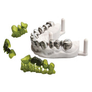 Alias ​​Dental Casting Resin