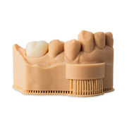 Alias ​​Dental Crown