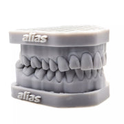 Alias Dental Model Study